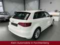 Audi A3 2.0 TDI Ambition Navi Sportsitze SHZ PDC Weiß - thumbnail 7