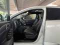 Nissan Qashqai 1.3 TEKNA+ plus VC+ACC+PANO+360°+HuD Weiß - thumbnail 16