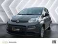Fiat Panda 1.0 Mild-Hybrid Klimaautomatik Bluetooth Kopfairba Grau - thumbnail 1
