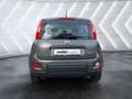 Fiat Panda 1.0 Mild-Hybrid Klimaautomatik Bluetooth Kopfairba Grau - thumbnail 5