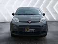 Fiat Panda 1.0 Mild-Hybrid Klimaautomatik Bluetooth Kopfairba Grau - thumbnail 2