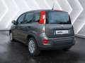 Fiat Panda 1.0 Mild-Hybrid Klimaautomatik Bluetooth Kopfairba Grau - thumbnail 4