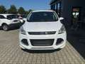 Ford Kuga Individual *NAVI*LED*LEDER*SITZHZ*AHK*TEMPO Weiß - thumbnail 8