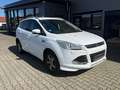 Ford Kuga Individual *NAVI*LED*LEDER*SITZHZ*AHK*TEMPO Weiß - thumbnail 7