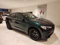Alfa Romeo Stelvio 2.2 Turbo 210cv AT8 Q4 Veloce Pelle Navi Xeno Blis Verde - thumbnail 2