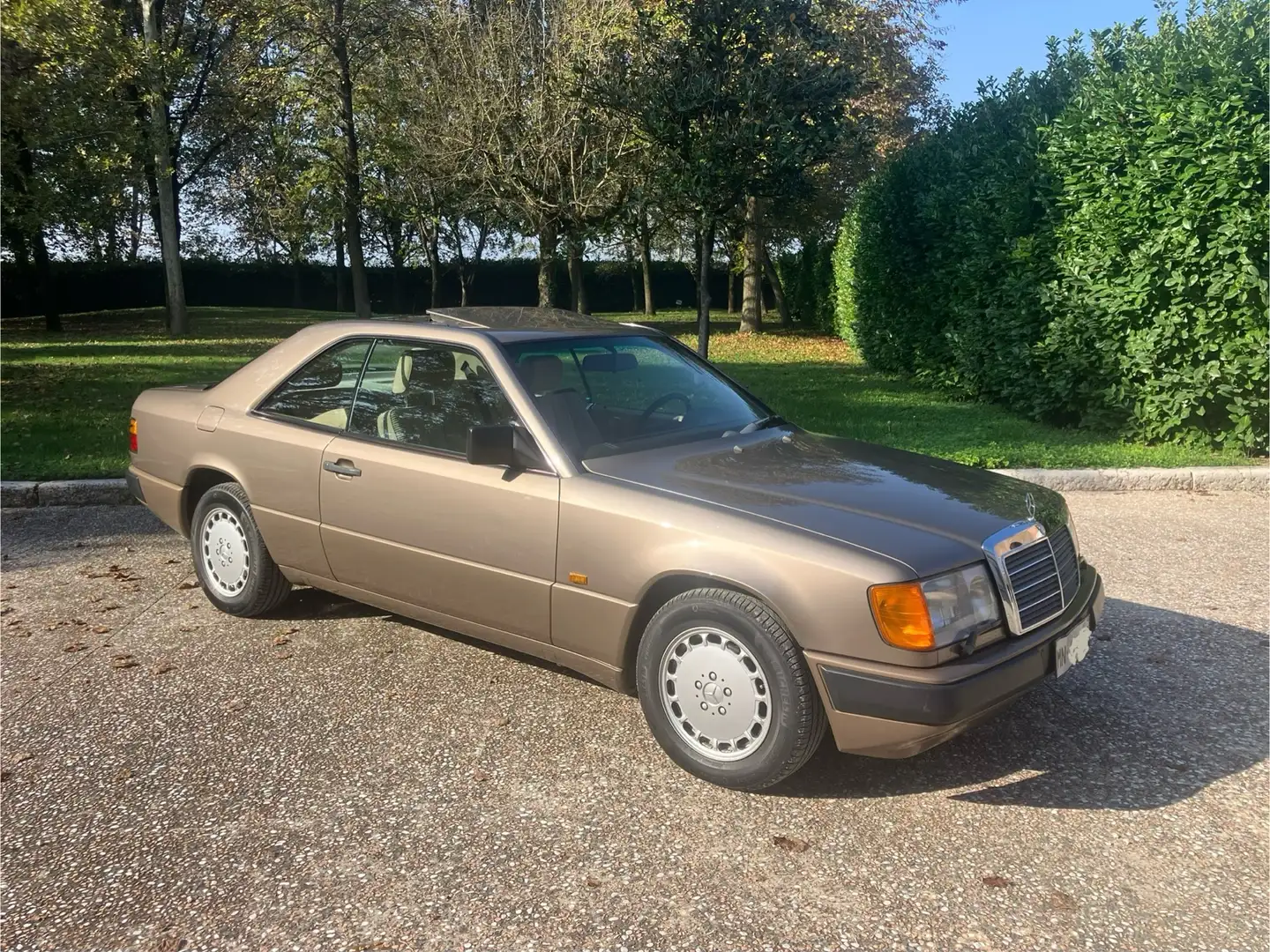 Mercedes-Benz CE 300 - 1