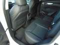 Nissan Qashqai 1.3 DIG-T MT6Tekna 360° Navi Alu19" AHK Blanc - thumbnail 10