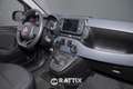 Fiat Panda 1.0 Firefly Hybrid 70CV Cross 5p.ti Rosso - thumbnail 14