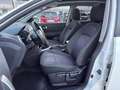 Nissan Qashqai QASQHAI 1.5DCI 7 POSTI TETTO PANORAMICO Bianco - thumbnail 5