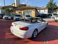 BMW 425 d Cabrio Sport auto my15 cambio automatico Bianco - thumbnail 7