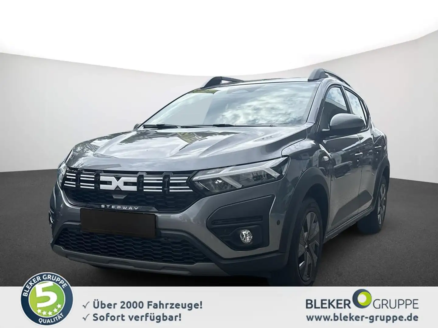 Dacia Sandero Sandero Stepway Expression TCe 90 Grau - 1