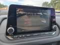 Nissan Qashqai 3ª serie MHEV 158 CV Xtronic Business Blanc - thumbnail 12