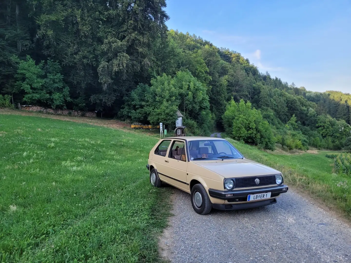Volkswagen Golf Golf 2 ( Zweitbesitz ) - 2