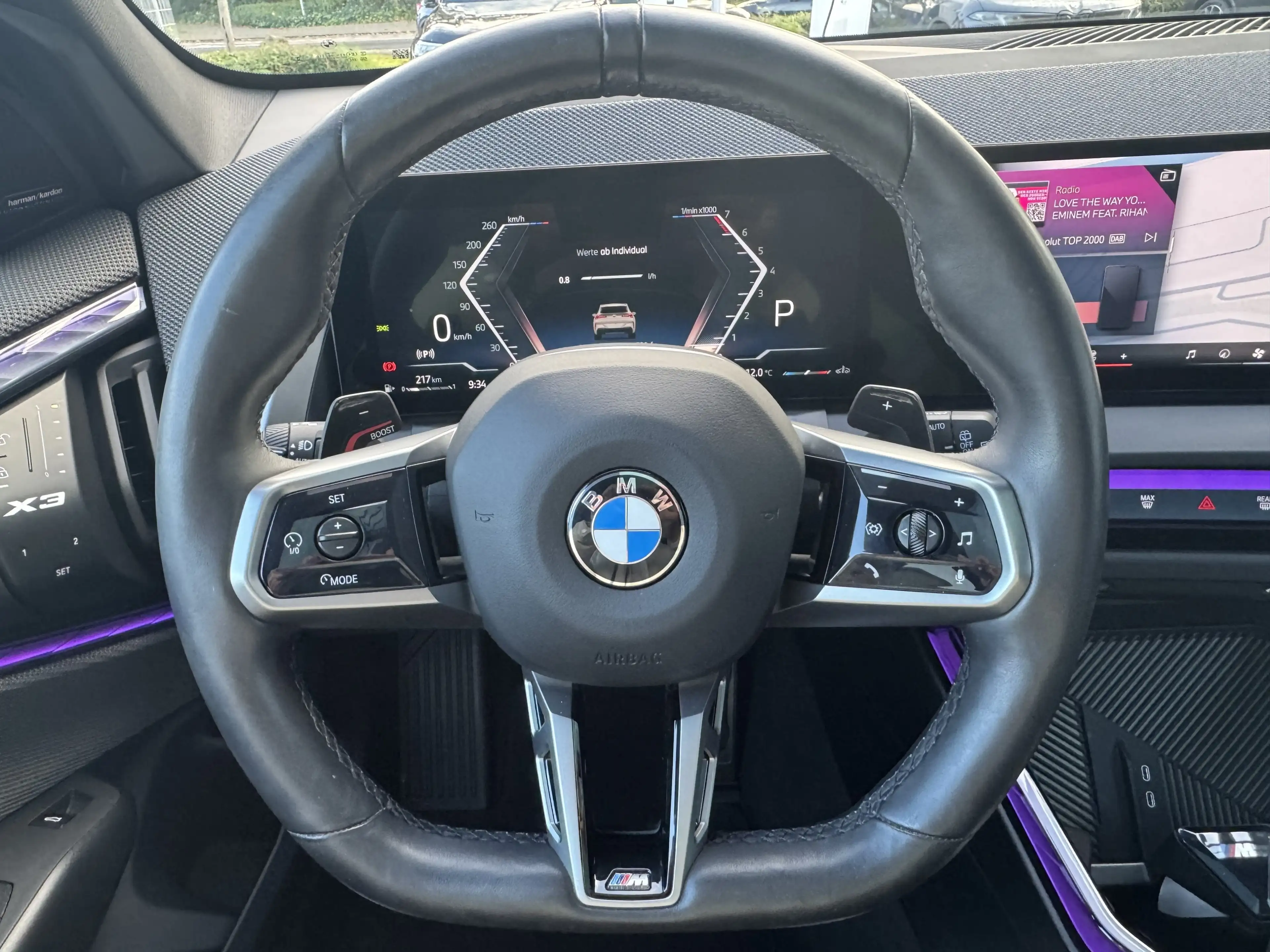 BMW X3 20 xDrive M Sport Pro StHzg AHK PANO DA+ H&K 360° — photo 8