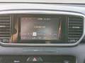 Kia Sportage Drive 2WD Gris - thumbnail 16