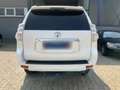 Toyota Land Cruiser Land Cruiser 5p 3.0 d-4d Sol 190cv auto Bianco - thumbnail 4