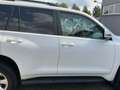 Toyota Land Cruiser Land Cruiser 5p 3.0 d-4d Sol 190cv auto Bianco - thumbnail 6