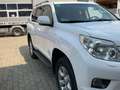 Toyota Land Cruiser Land Cruiser 5p 3.0 d-4d Sol 190cv auto Bianco - thumbnail 7