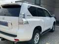 Toyota Land Cruiser Land Cruiser 5p 3.0 d-4d Sol 190cv auto Bianco - thumbnail 5