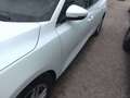 Ford Focus 1.5 Ecoblue Trend+ 120 Blanco - thumbnail 20