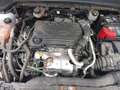 Ford Focus 1.5 Ecoblue Trend+ 120 Blanco - thumbnail 16