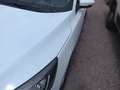 Ford Focus 1.5 Ecoblue Trend+ 120 Blanco - thumbnail 18