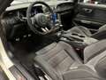 Ford Mustang USA Fastback 5.2i V8 Shelby GT350 526PK Heritage E Blanc - thumbnail 2