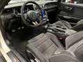 Ford Mustang USA Fastback 5.2i V8 Shelby GT350 526PK Heritage E Blanco - thumbnail 12