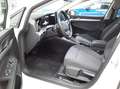 Volkswagen Golf VIII Life 1.5eTSI DSG / App, LED+, ACC, RFK Weiß - thumbnail 6