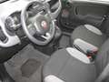Fiat Panda 1.0 FireFly S&S Hybrid City Life Grigio - thumbnail 5