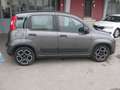 Fiat Panda 1.0 FireFly S&S Hybrid City Life Grigio - thumbnail 2
