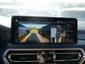 BMW X4 40d xDrive FACEL. HUD 360° LASER LED STANDHZ Grau - thumbnail 16