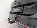 Volkswagen Passat Alltrack Alltrack AHK-schw. IQ-LED-Matrix Standhzg. Memory Grau - thumbnail 12