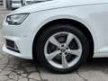 Audi A4 Avant 35 TDI sport S-tronic+Navi+Apple CarPlay+LED Blanc - thumbnail 10