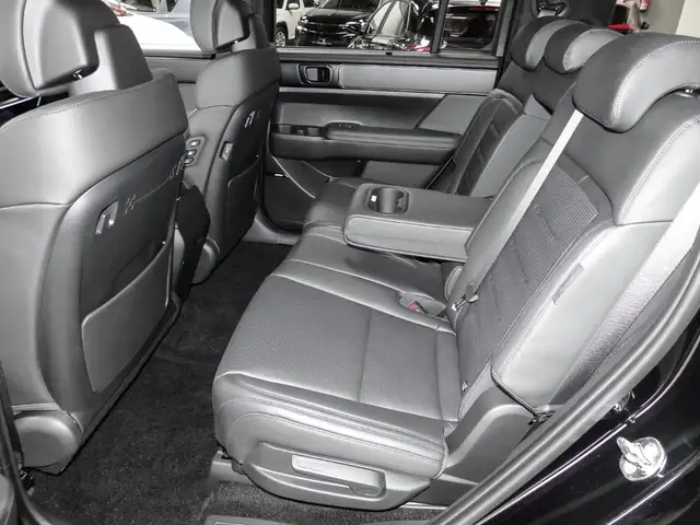 Hyundai Santa Fe view 15