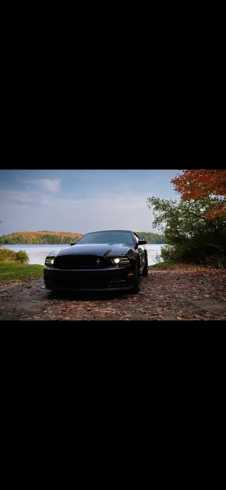 Ford Mustang снимка Ford Mustang