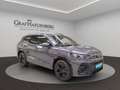 Volkswagen Tiguan 2.0 TDI 4M DSG R-Line ACC AHK Grau - thumbnail 8