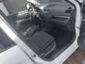 Suzuki Swift Blanco - thumbnail 18