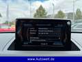 Audi Q3 1.4 TFSI AT Xenon Leder Navi Climatic Sitzhzg Grau - thumbnail 26