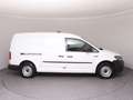 Volkswagen Caddy VW Caddy Maxi T6 Kastenwagen Entry TDI Weiß - thumbnail 25