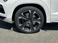 CUPRA Ateca VZ 2.0 TSI AHK KAMERA LED ACC NAVI SHZ PDC Weiß - thumbnail 9