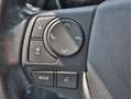 Toyota Auris Touring Sports 1.8 Hybrid Dynamic Automaat | Navig Rood - thumbnail 12