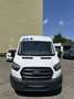 Ford Transit Bus Minibus 2,0 EcoBlue HD L3H2 410 Trend - thumbnail 2