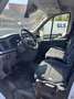 Ford Transit Bus Minibus 2,0 EcoBlue HD L3H2 410 Trend - thumbnail 4