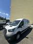 Ford Transit Bus Minibus 2,0 EcoBlue HD L3H2 410 Trend - thumbnail 3