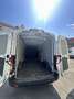 Ford Transit Bus Minibus 2,0 EcoBlue HD L3H2 410 Trend - thumbnail 8