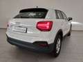 Audi Q2 30 1.0 tfsi business Bianco - thumbnail 2