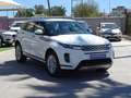 Land Rover Range Rover Evoque 2.0D MHEV S AWD Aut. 150 Blanco - thumbnail 5
