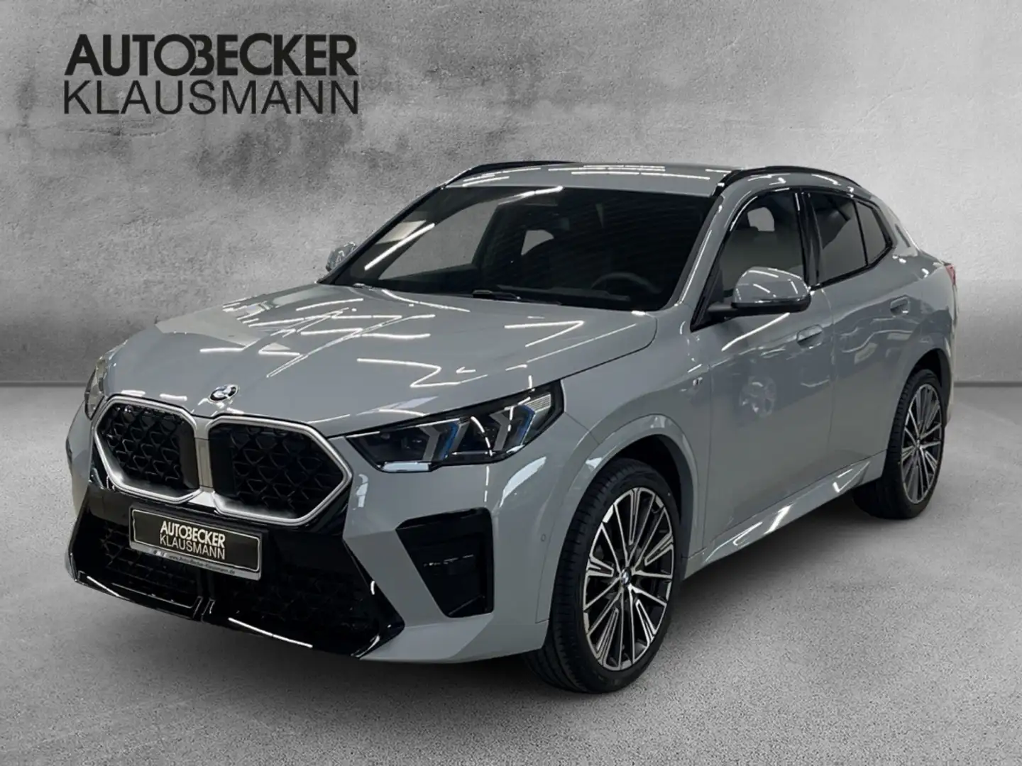 BMW X2 sDrive20i M Sport LMR 20'' Park-Assistent HUD AD N Grey - 1