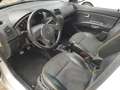 Kia Picanto 1.1 ShoebybyKia Airco Leder Luxe uitvoering Blanc - thumbnail 7